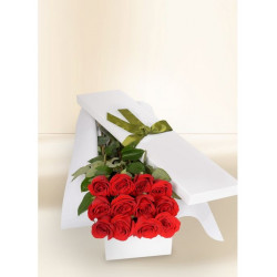 12 Red Rose Stems for Valentine's Day